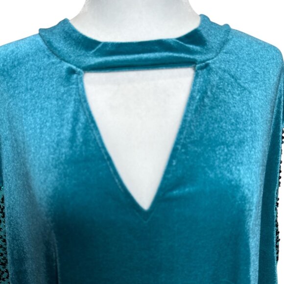 NEW Blue Sequined Velvet Long Sleeve Elegant Dress Womens Plus Size 26/28 Roaman - Picture 7 of 10